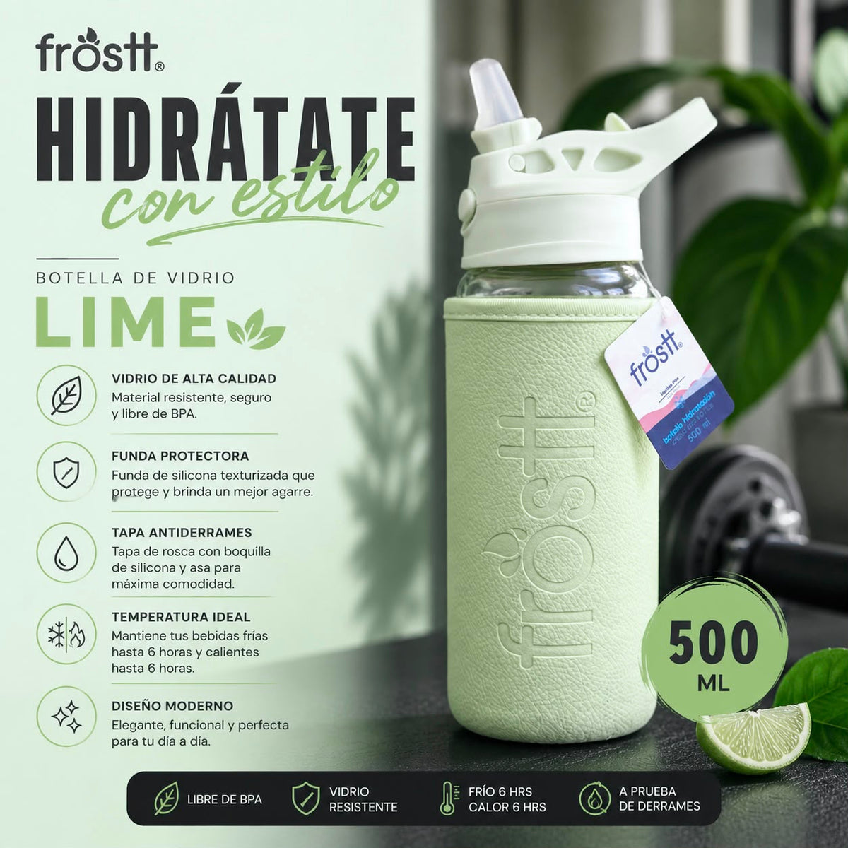 Botella Vidrio Frostt