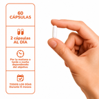 Cordyceps Suplemento Deportistas 60 Capsulas