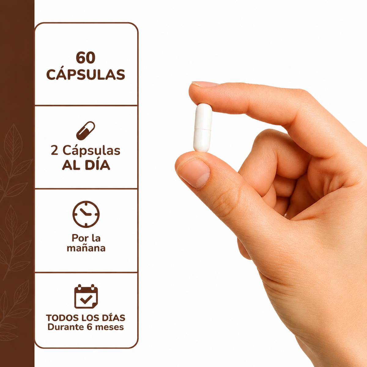 Melena de León Hongo - 60 Capsulas