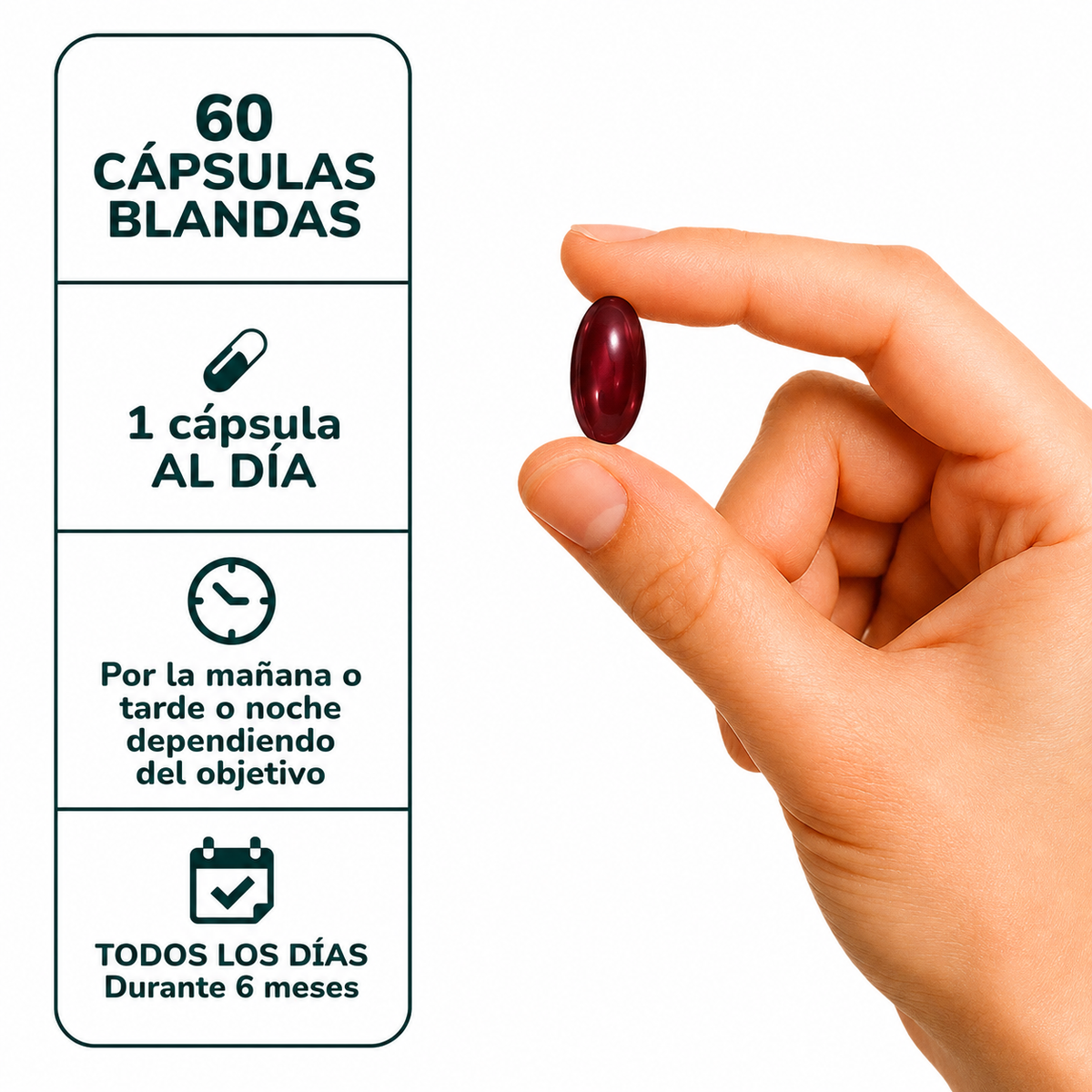 Aceite de Orégano 60 Cap