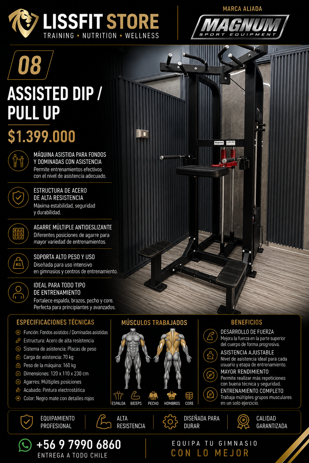 Assisted Dip / Pull Up Magnum